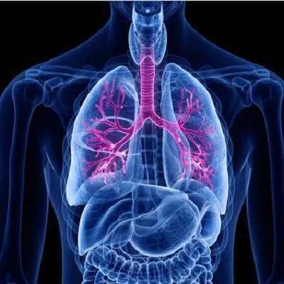 Respiratory Medicine 2023